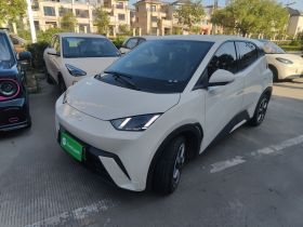 比亚迪 海鸥 2024款 荣耀版 305km 自由版