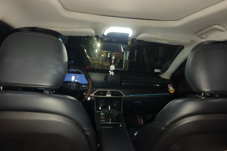 星途凌云 2021款 290T 两驱星耀版中控内饰22