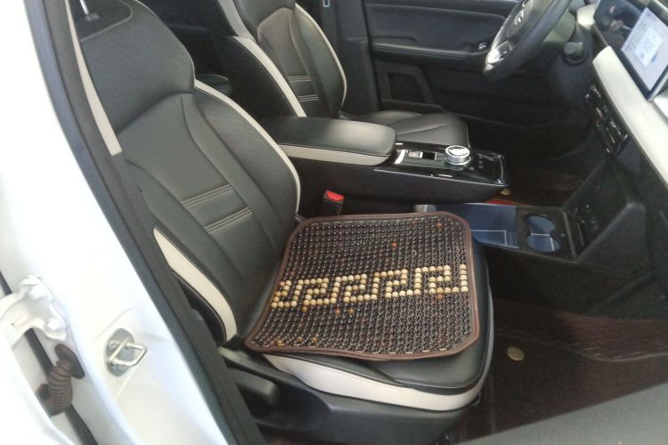 吉利几何E萤火虫 2022款 401KM 玲珑虎 4座中控内饰41