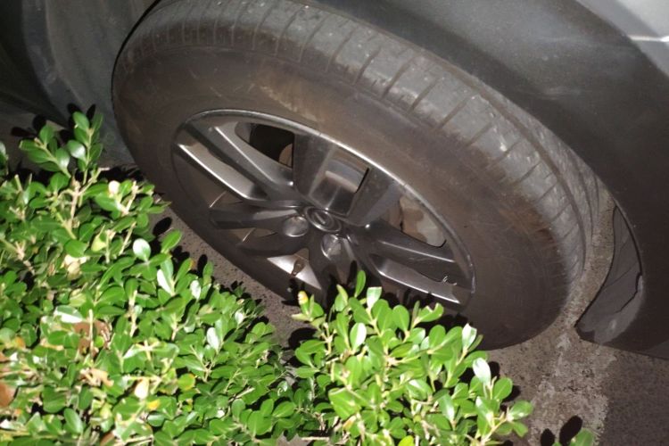 雷克萨斯NX 2015款 200t 全驱 锋尚版车身外观6007