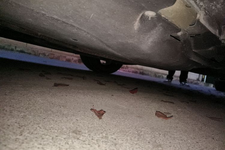 福特 蒙迪欧 2022款 改款 EcoBoost 245 至尊型局部细节9003