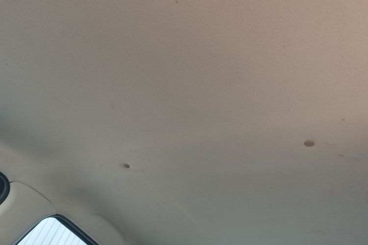 思皓 2022款 花仙子款 四叶草局部细节22