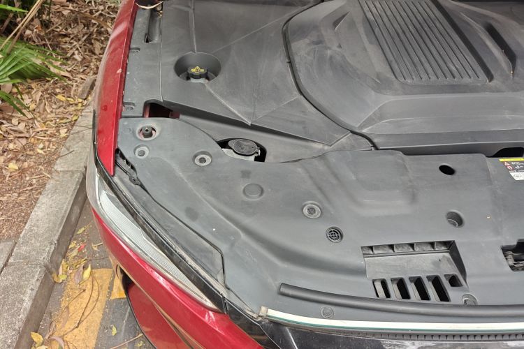 比亚迪 秦PLUS 2021款 EV 500KM 尊贵型局部细节9006