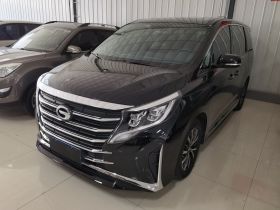 广汽传祺 传祺M8 2023款 领秀系列 390T 尊享版