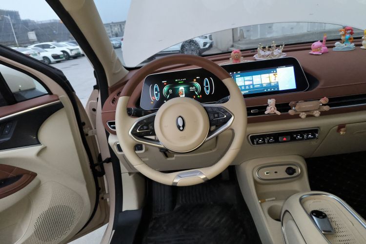 欧拉好猫 2023款 401km标准续航 豪华型 磷酸铁锂局部细节13