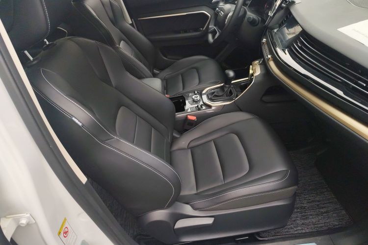 哈弗H6 2019款 蓝标 2.0GDIT 自动豪华智联版局部细节41