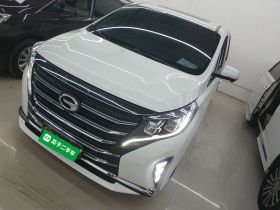 广汽传祺 传祺M8 2021款 领秀系列 390T 至尊版