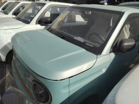 吉利银河 2024款 熊猫mini 200km 耐力熊