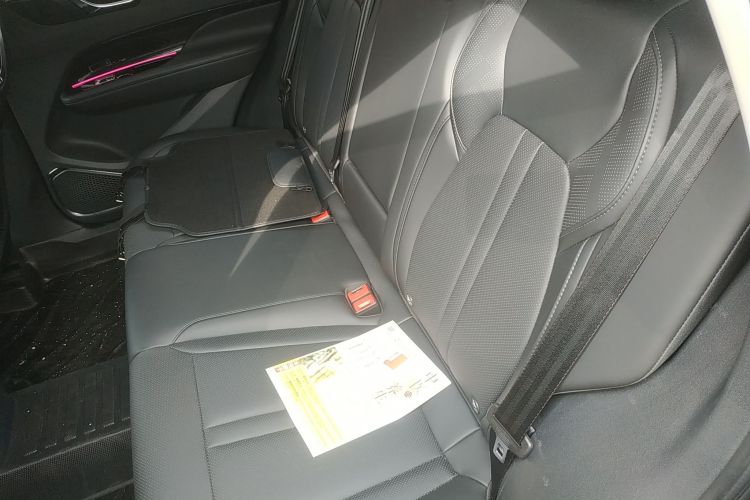 红旗HS3 PHEV 2024款 PHEV 115km 劲为版中控内饰21