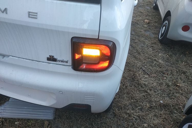 吉利银河 2024款 熊猫mini 200km 耐力熊车身外观9