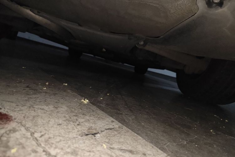 奥迪A4L 2013款 35 TFSI 自动标准型局部细节9009