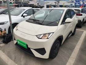 比亚迪 海鸥 2025款 305km 活力版