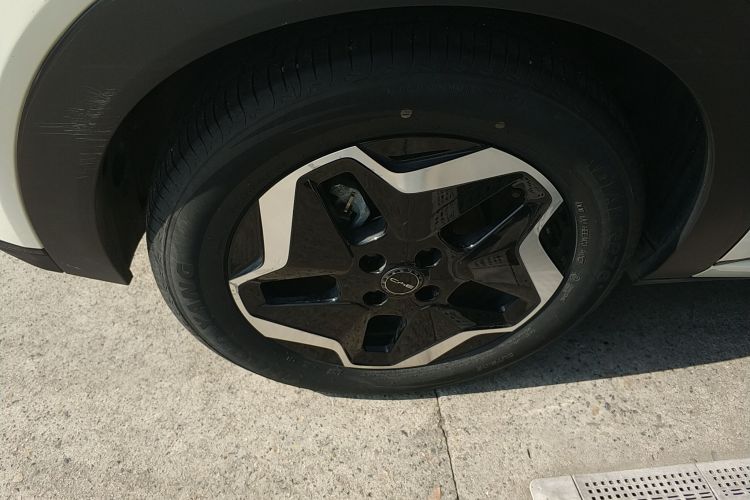 比亚迪 海豚 2021款 405km 时尚版车身外观6008