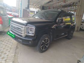 哈弗H9 2024款 2.0T 汽油四驱极境版