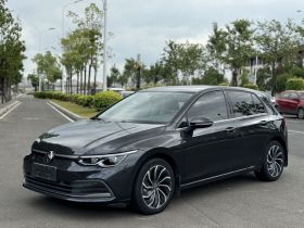 大众 高尔夫 2021款 280TSI DSG Pro