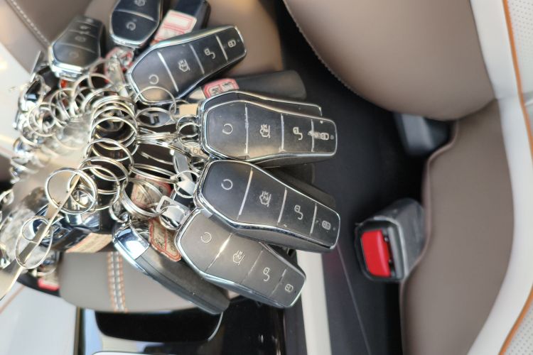 比亚迪 秦PLUS 2024款 荣耀版 DM-i 120KM卓越型中控内饰7001