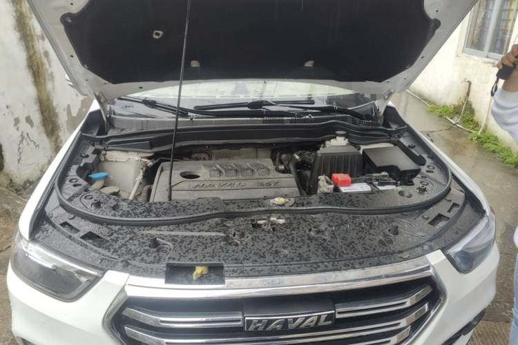 哈弗H6 2021款 运动版 1.5T 自动精英智联型 六边形格栅局部细节24