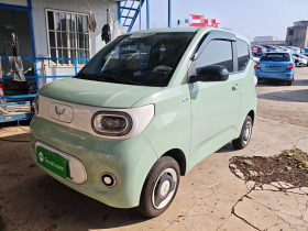 五菱汽车 宏光MINIEV 2024款 第三代 215km 青春版