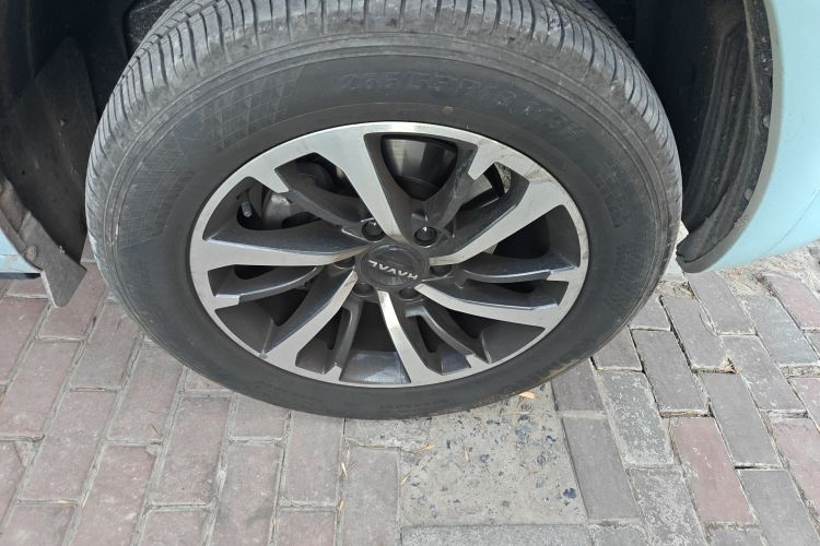 哈弗H9 2024款 2.0T 汽油四驱极境版车身外观10