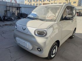 五菱汽车 宏光MINIEV 2024款 第三代 215km 青春版