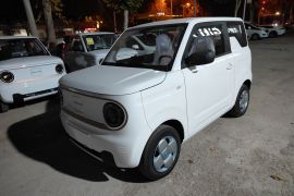 吉利银河 2024款 熊猫mini 200km 耐力熊