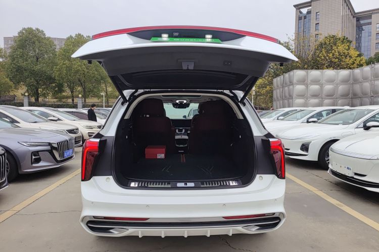 红旗E-HS9 2021款 460km 旗享版 六座局部细节23