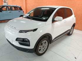 大运 悦虎 2022款 30.66kWh 两驱标准版