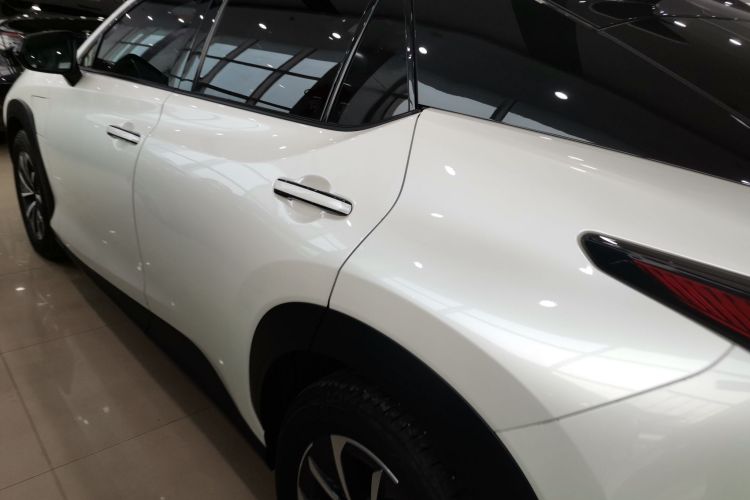 雷克萨斯RZ 2023款 450e 四驱纵享版车身外观4