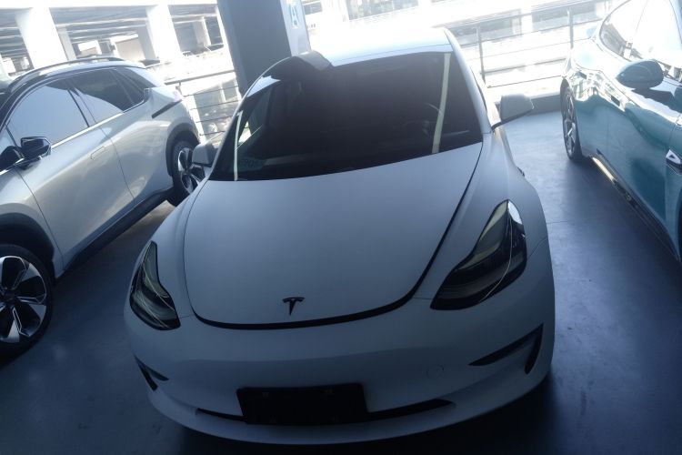 特斯拉 Model 3(进口) 2019款 长续航全轮驱动版车身外观6001