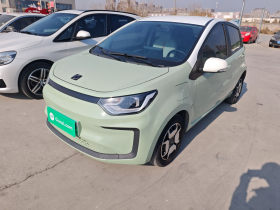 思皓 2022款 花仙子款 四叶草