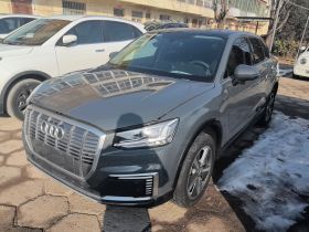 奥迪Q2L e-tron 2019款 Q2L e-tron 纯电智酷型