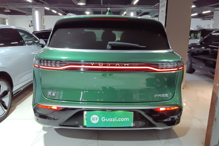 岚图汽车 岚图FREE 2022款 四驱超长续航纯电版车身外观6