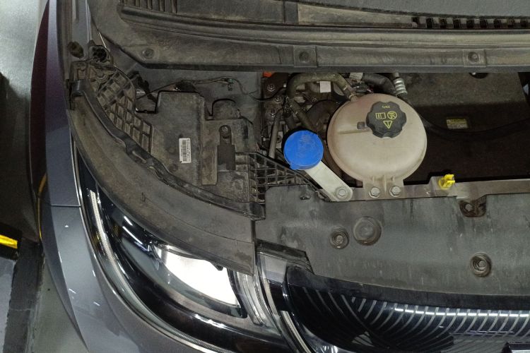 比亚迪 海豚 2021款 405km 自由版局部细节9006