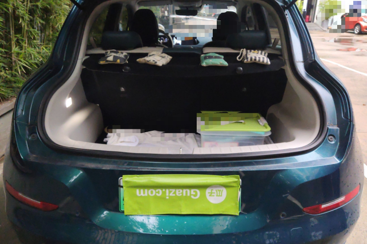 欧拉好猫 2021款 400km标准续航 维纳斯版 磷酸铁锂局部细节23