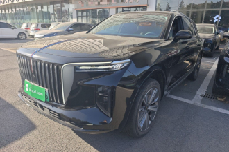 红旗E-HS9 2021款 460km 旗享版 六座