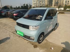 五菱汽车 宏光MINIEV 2022款 自在款 磷酸铁锂