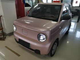 吉利银河 2024款 熊猫mini 200km 耐力熊