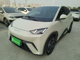 比亚迪 海鸥 2023款 自由版