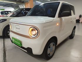 吉利银河 2024款 熊猫mini 200km 耐力熊