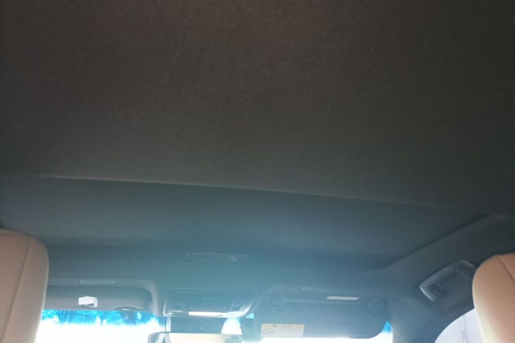 雷克萨斯ES 2018款 260 卓越版 国V中控内饰22