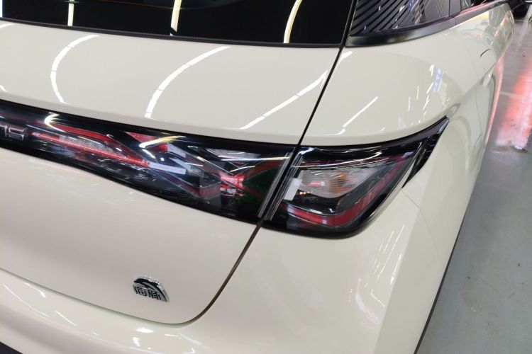 比亚迪 海豚 2021款 405km 时尚版车身外观9