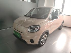 零跑汽车 零跑T03 2021款 400轻享版 磷酸铁锂