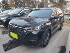 奇瑞 瑞虎8 PRO 2024款 冠军版 290T 两驱闪耀版 5座