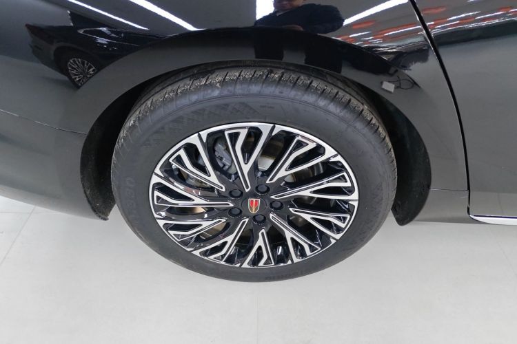 红旗H5 2024款 2.0T 自动智联旗畅版车身外观6008