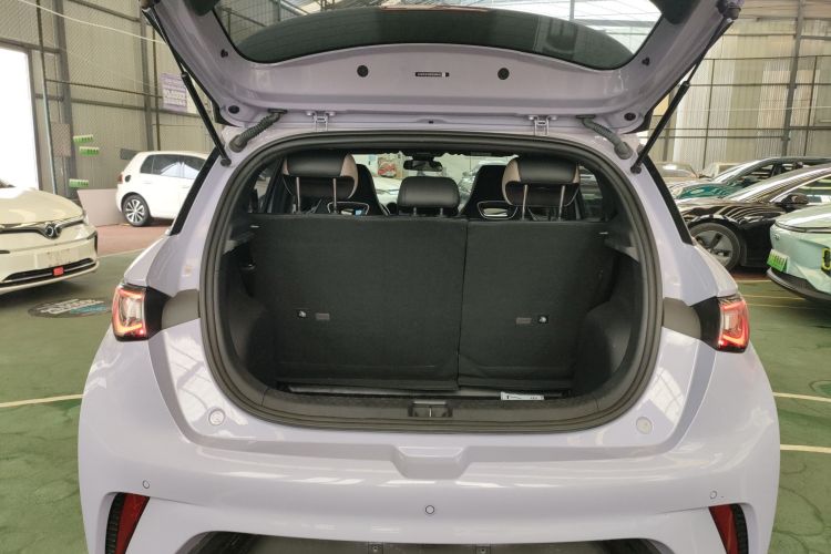 比亚迪 海豚 2023款 420km 时尚版机舱底盘23