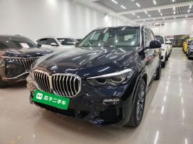 宝马X5(进口) 2021款 xDrive30i M运动套装
