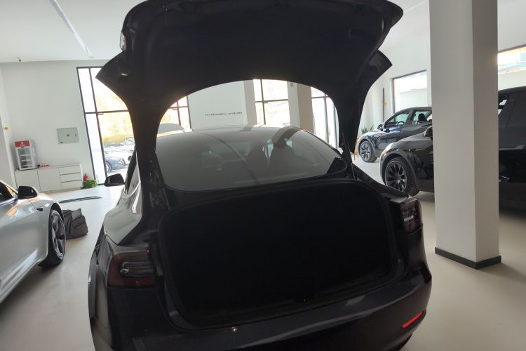 特斯拉 Model 3 2019款 标准续航后驱升级版局部细节23