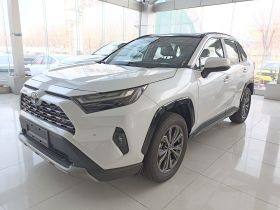 丰田 RAV4荣放 2024款 2.0L CVT两驱风尚Plus版