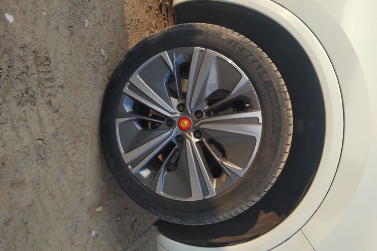 红旗E-HS9 2021款 460km 旗享版 六座车身外观10