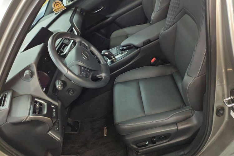 雷克萨斯UX新能源 2020款 300e 纯·悦版中控内饰19